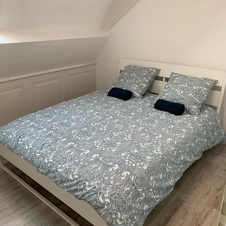 Daire Historical Town Center Spacious Flat *