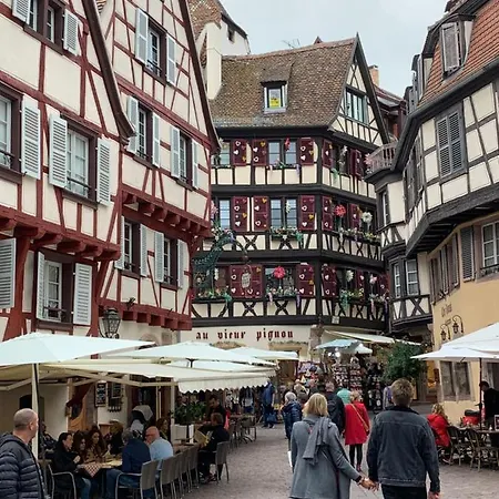 Lägenhet Historical Town Center Spacious Flat Colmar