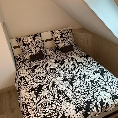 Daire Historical Town Center Spacious Flat