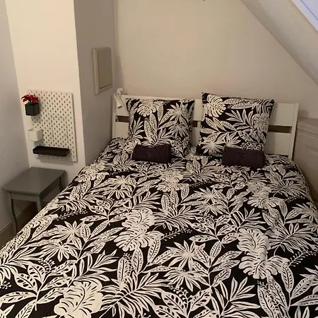 Daire Historical Town Center Spacious Flat Colmar