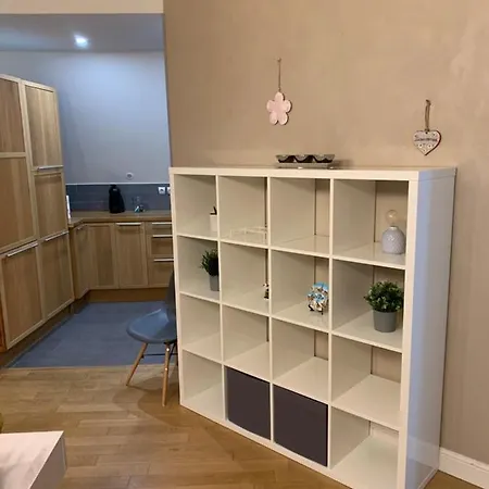 Historical Town Center Spacious Flat * Colmar