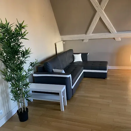 Lägenhet Historical Town Center Spacious Flat Colmar