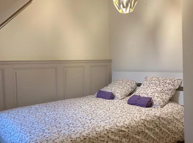 Apartament Historical Town Center Spacious Flat