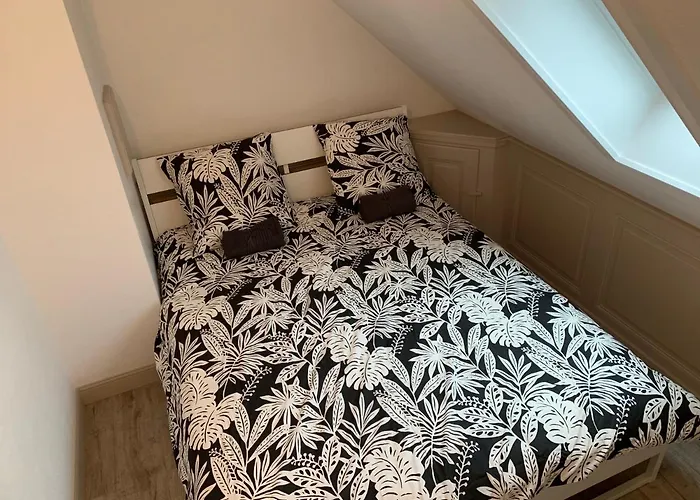 Apartament Historical Town Center Spacious Flat