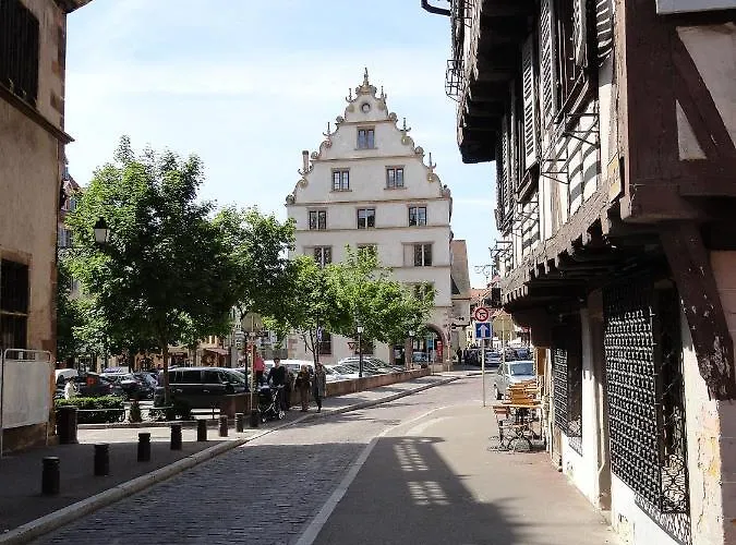 Apartament Historical Town Center Spacious Flat Colmar