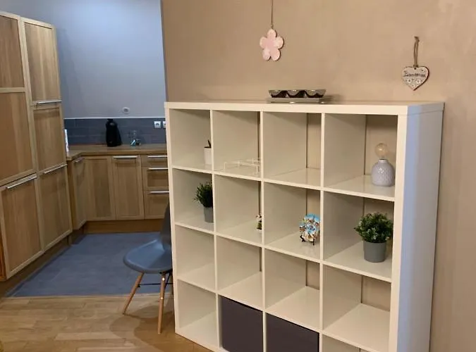 Historical Town Center Spacious Flat * Colmar